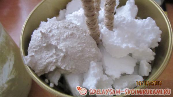 фиксируем наше растение