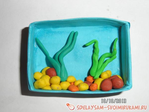 Расположите камни и водоросли в коробк