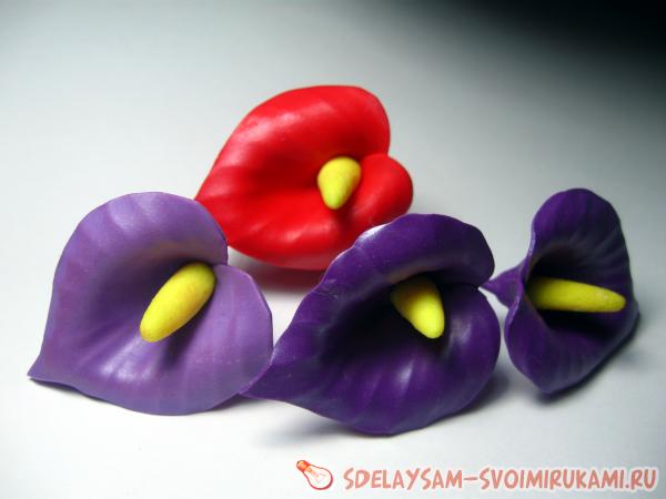 невидимка с Белокрыльником