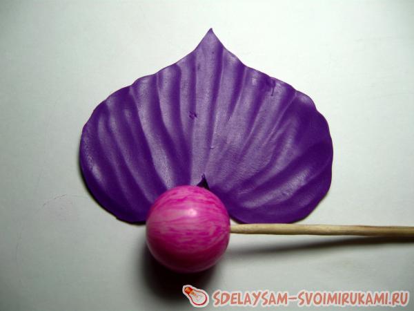 невидимка с Белокрыльником