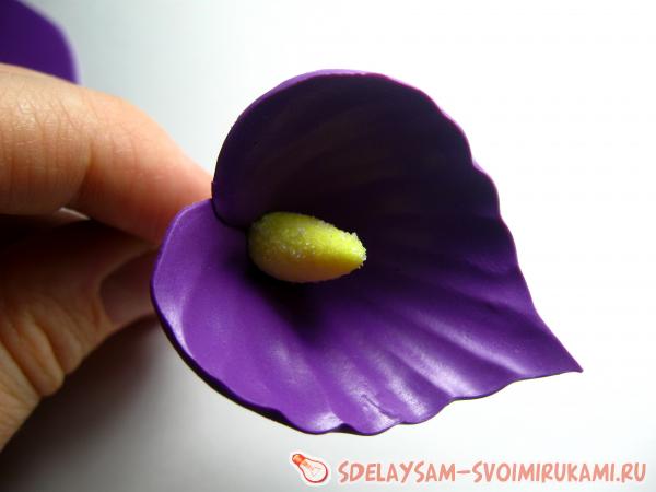 невидимка с Белокрыльником