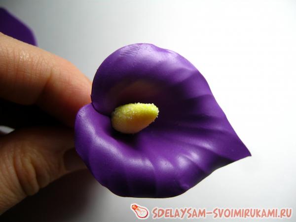 невидимка с Белокрыльником