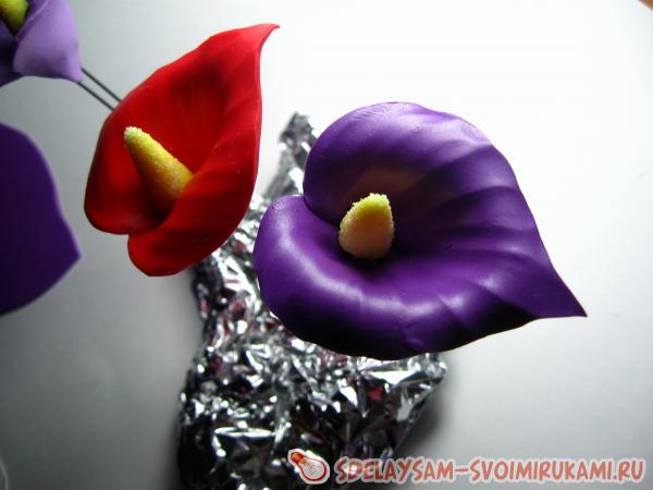 невидимка с Белокрыльником