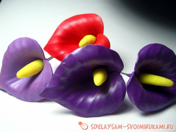 невидимка с Белокрыльником