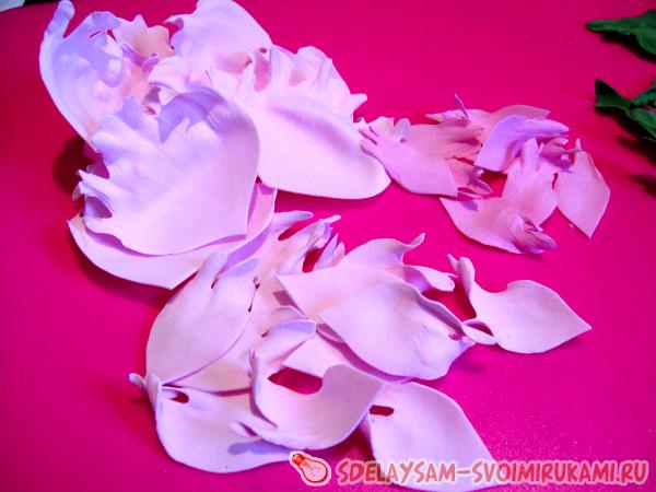 все лепестки