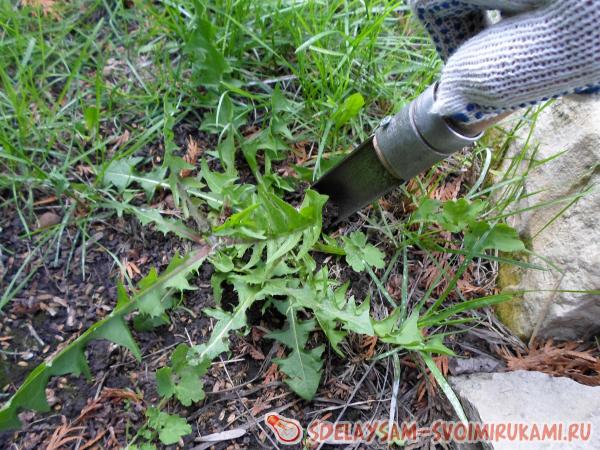 корчеватель сорняков