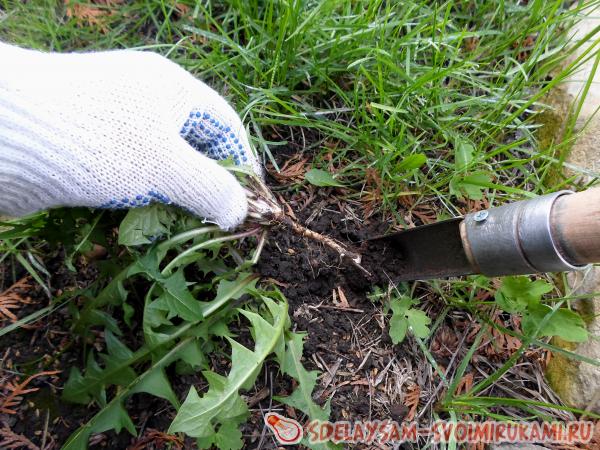 корчеватель сорняков