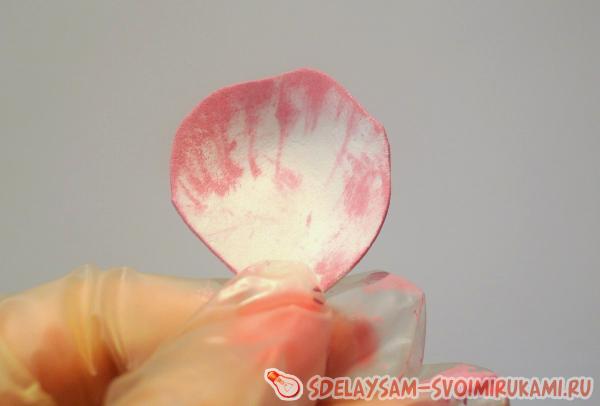 Начинаем тонировку