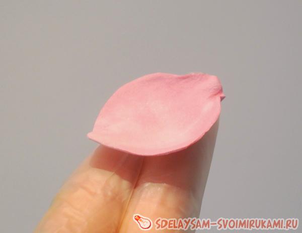 формируя чашечку