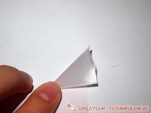 Хризантема