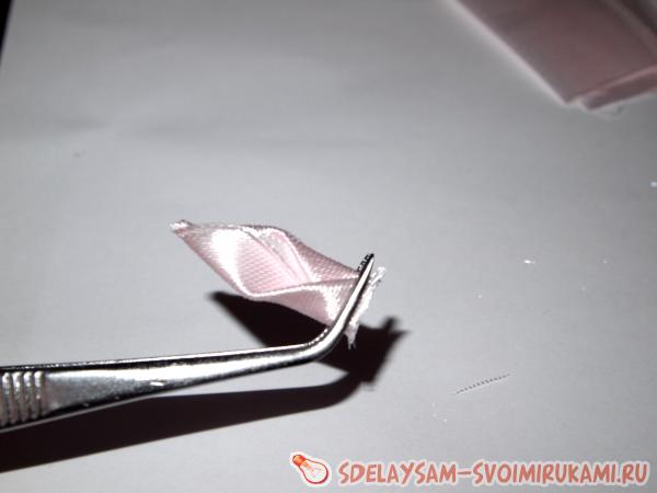 Хризантема