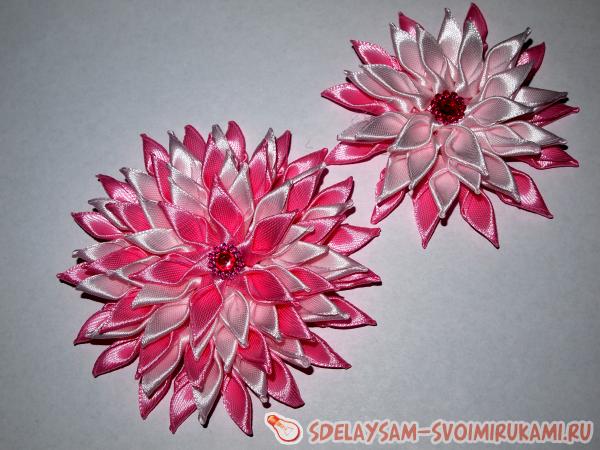 Хризантема