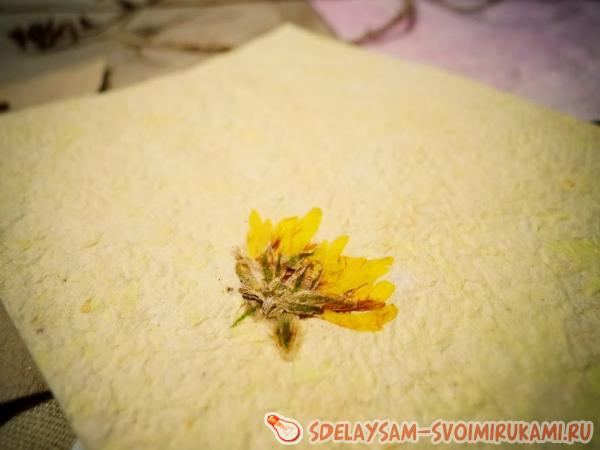 накройте бумагу полотенцем