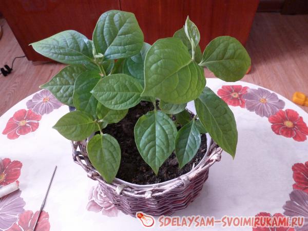 Цветочный горшок