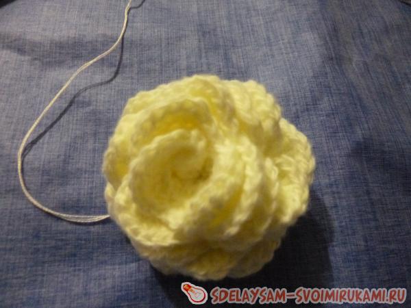 симпатичный бутон