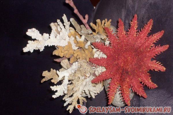 Композиция кораллов со звездой