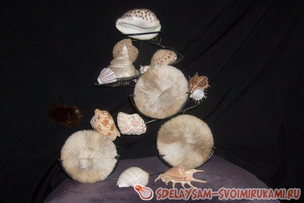 Композиция из кораллов и раковин