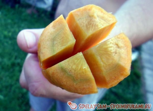 режем морковь