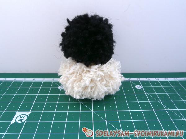 задние лапки котика