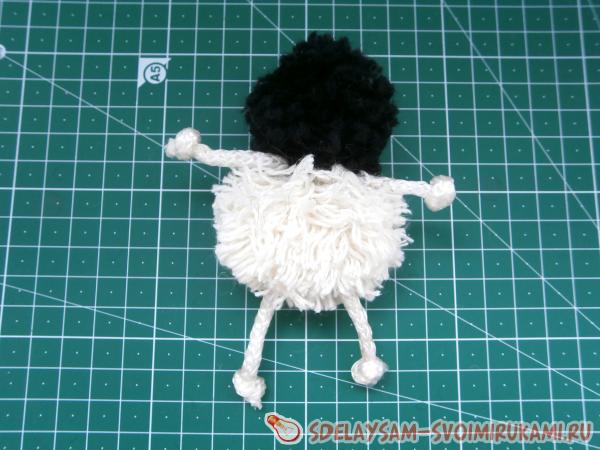 длина лапок