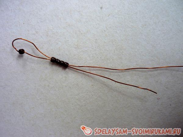 тело и головы стрекозы