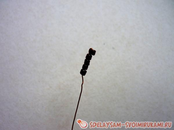 тело и головы стрекозы