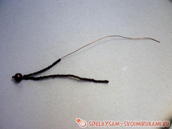 тело и головы стрекозы