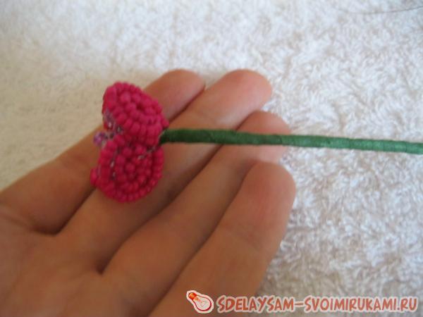 Расправляем листики и наша фиалочка