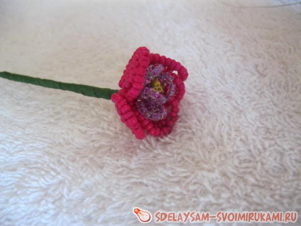 Расправляем листики и наша фиалочка