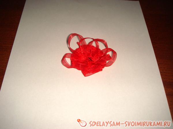 Красная брошка