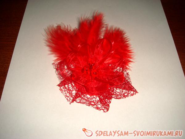 Красная брошка