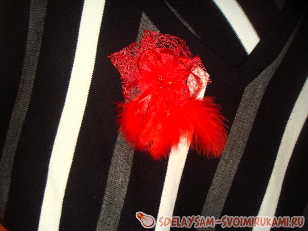 Красная брошка