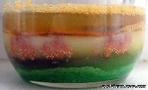 Выращиваем кристаллы меди.