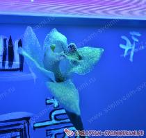 Необычный светящийся в темноте цветок