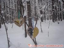 Кормушка для птиц