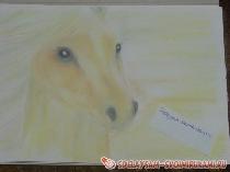 Рисуем портрет соловой лошади