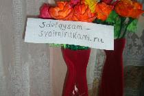 Чайная роза из ватных дисков