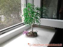 Весенняя березка из бисера