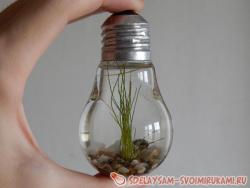 Аквариум в лампочке