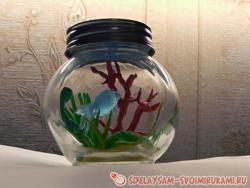 Мини-аквариум