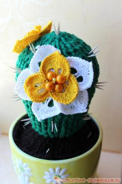 Цветущие кактусы крючком