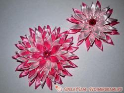 Хризантема