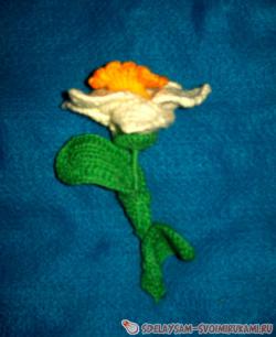 Цветок ирис из ниток