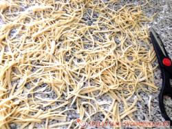 Домашняя лапша