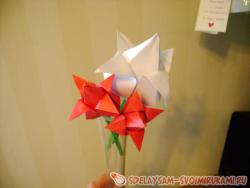 Бумажные тюльпаны