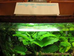 Починка освещения в аквариуме