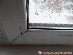 Бытовой грибок: что это? Как вывести?