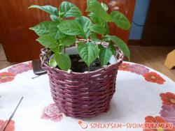 Цветочный горшок