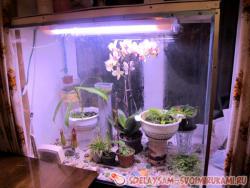 Изготовление флорариума