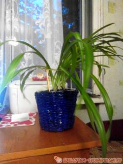 Горшок для цветов из газетных трубочек